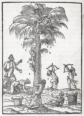  The Dove and the Date Palm: A Fascinating Look into 16th Century Egyptian Folklore!