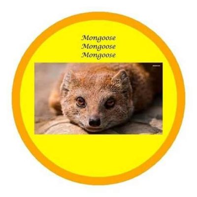  Yellow Mongoose - A Tale of Wisdom, Courage, and a Curious Appetite for Honey!